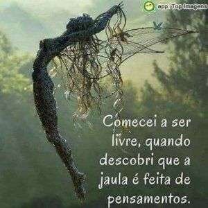 Comecei a ser livre