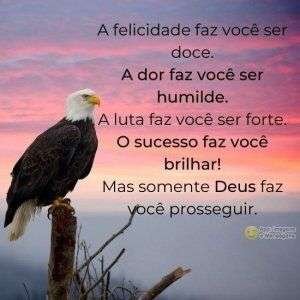 Deus faz você prosseguir