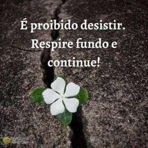 É proibido desistir