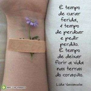 É tempo de curar