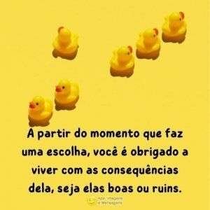 Escolhas e consequências