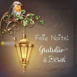 Feliz noite