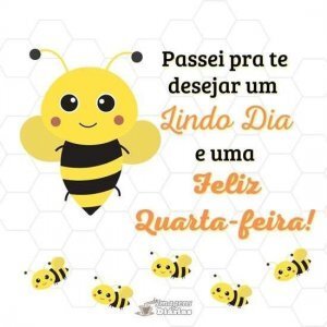 Feliz quarta-feira