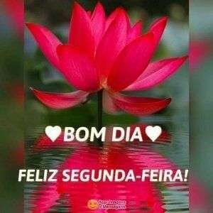 Feliz segunda-feira