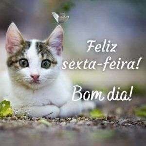Feliz sexta-feira!