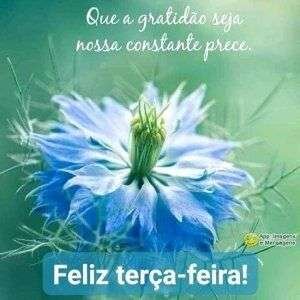Feliz terça-feira