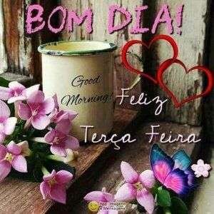 Feliz terça-feira