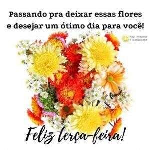 Feliz terça-feira
