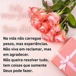 Feliz terça-feira