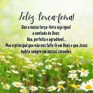 Feliz terça-feira