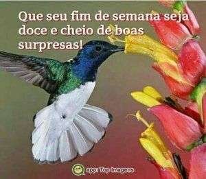 Fim de semana de surpresas