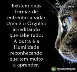 Formas de enfrentar a vida