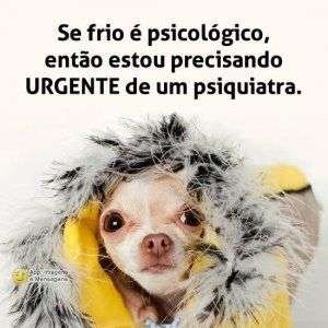 Frio é psicológico