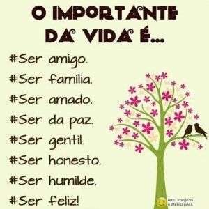 Importante da vida