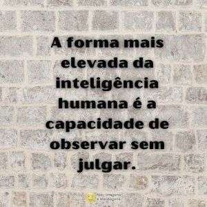 Inteligência humana