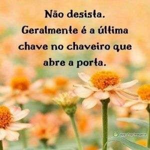 Não desista