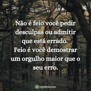 Não é feio pedir desculpas