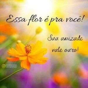 Obrigado pela sua amizade