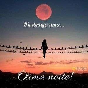 Ótima noite