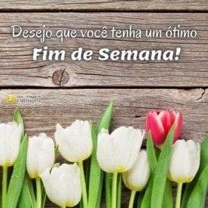 Ótimo fim de semana