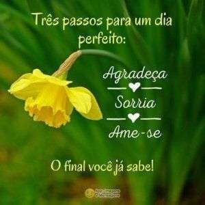 Passos para um dia perfeito