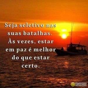 Seletivo nas batalhas