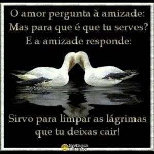 Serventia da amizade