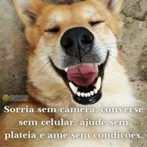 Sorria sem câmera