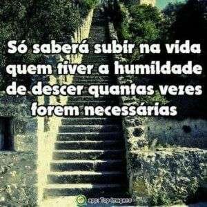 Subir na vida