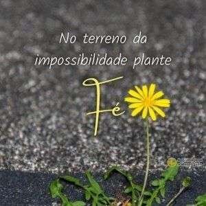 Terreno da impossibilidade