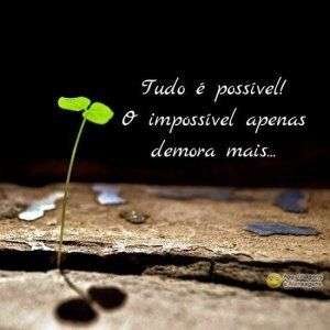 Tudo é possível