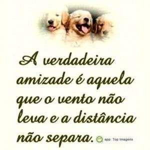 Verdadeira amizade