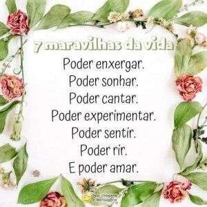 7 maravilhas da vida