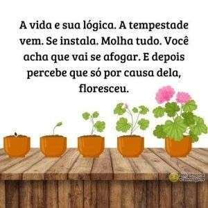 A vida e sua lógica