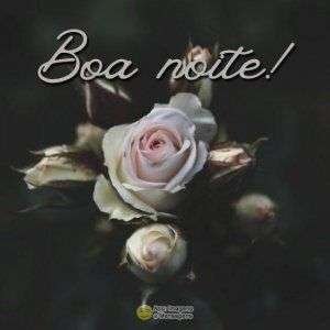 Boa noite