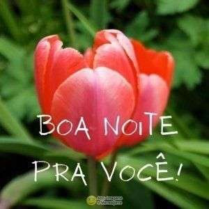 Boa noite