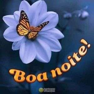 Boa noite
