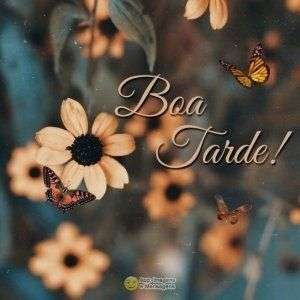 Boa tarde