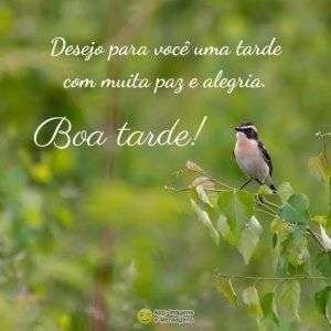 Boa tarde