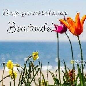 Boa tarde