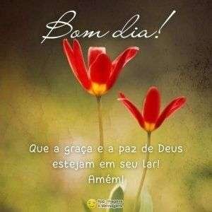 Bom dia