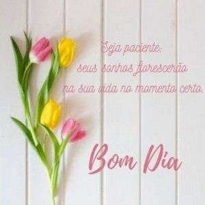 Bom dia