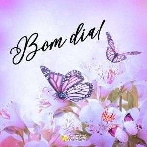 Bom dia