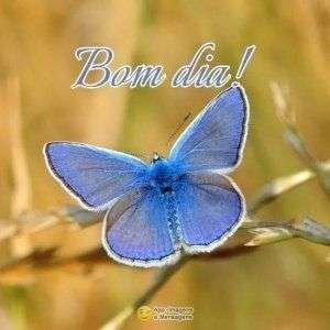 Bom dia