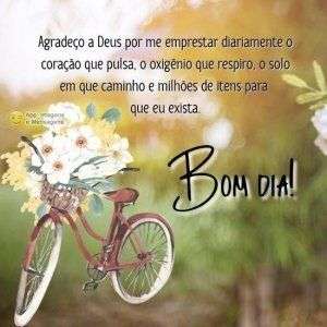 Bom dia