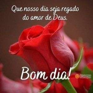 Bom dia