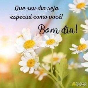 Bom dia