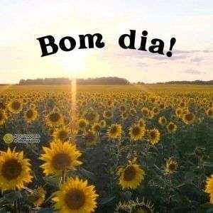 Bom dia