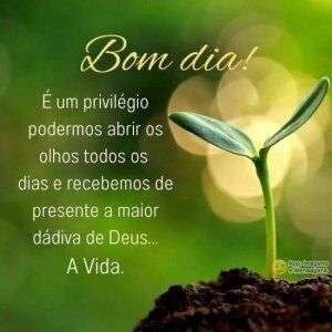 Bom dia