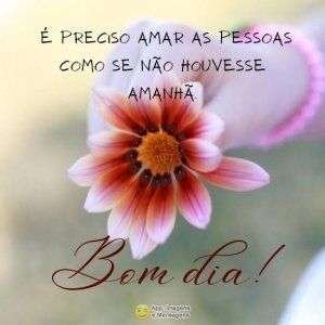 Bom dia